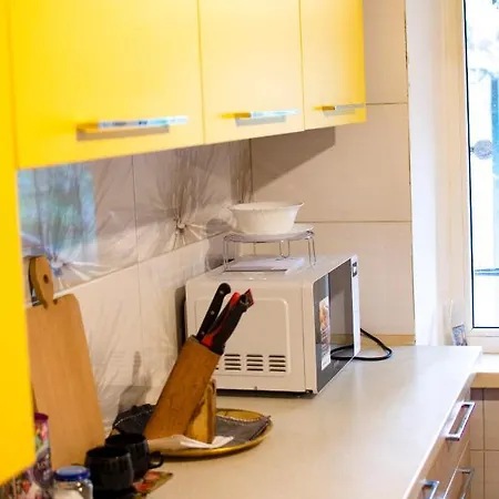 Comfortable Apartments In The Center Of 第聂伯罗彼得罗夫斯克 外观 照片